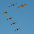 Dare to be Different
