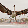 Landing